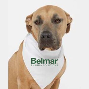 USA-Made Doggie Bandana Thumbnail
